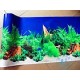 Aquarium backing sheet 350mm