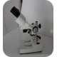 Microscope Stereo type,20x inclined head