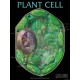 Chart, Plant Cell, 61x46cm laminated