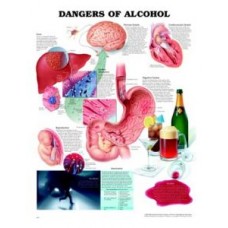 Chart, Dangers of Alcohol