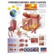 Chart, Understanding Cancer