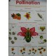 Chart, Pollination, Junior Science Chart Series