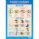Food Chains chart