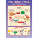 Food Cycle chart