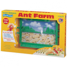Ant Farm, plastic, 230mm 