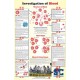 Investigation of Blood Chart