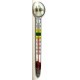 Thermometer, liquid crystal