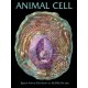 Chart, Animal Cell