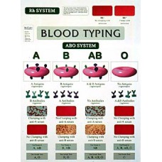 Chart, Blood Typing