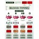 Chart, Blood Typing