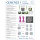 Chart, Genetics I, Essential Terminology