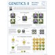 Chart, Genetics II, Mendelian Genetics