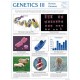 Chart, Genetics III, Human Genome