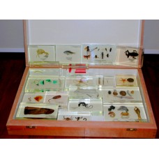 Animal Kingdom Specimen set (Zoology Specimen set), plastic block mounted