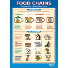 CHART, Food Chains