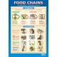 CHART, Food Chains