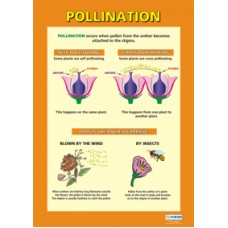 CHART, Pollination
