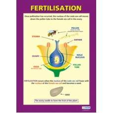 CHART, Fertilisation