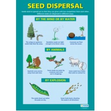 CHART, Seed Dispersal