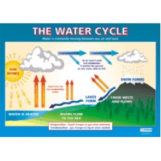 CHART, The Water Cycle