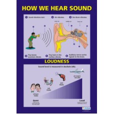 CHART, How We Hear Sound